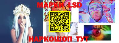 крисы Абакан