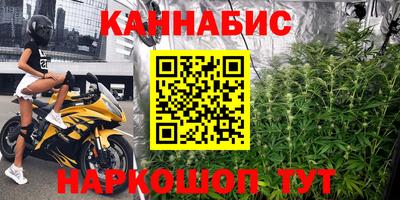 крисы Абакан