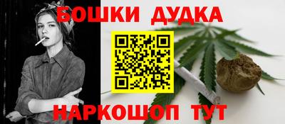 крисы Абакан