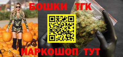 крисы Абакан