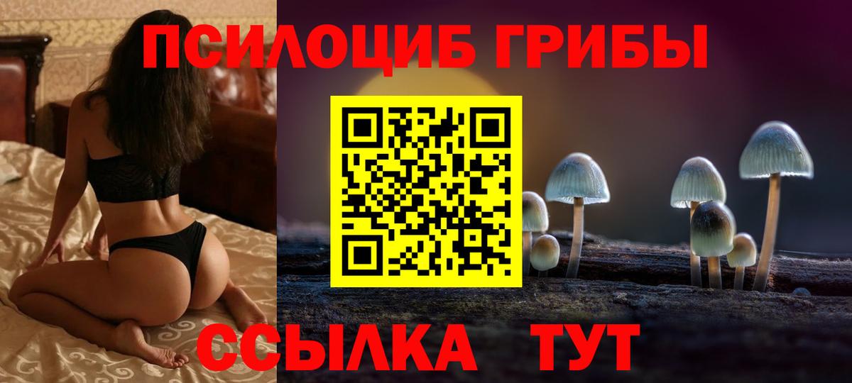 Галлюциногенные грибы GOLDEN TEACHER Аргун